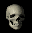 Avatar von shakespeare