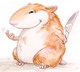 Avatar von rookie